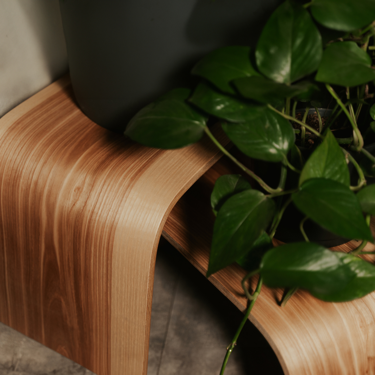 Verstelbare Houten Opstapjes - Set van 2