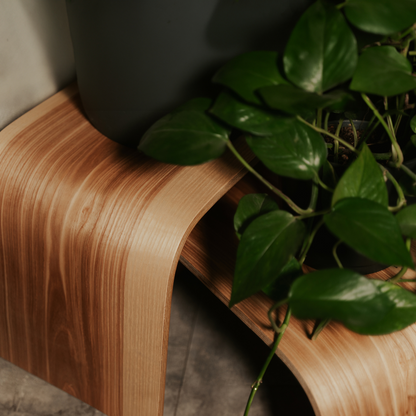 Verstelbare Houten Opstapjes - Set van 2